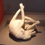 Plaster cast of a dog chained up in Pompeii when Vesuvius erupted