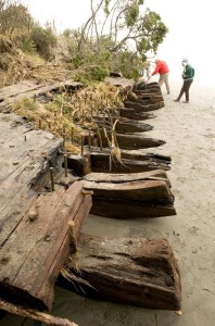 Shipwreck on Washaway Beach