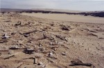 Remnants of DeMille's lost city, Guadalupe-Nipomo Dunes, California