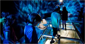 Exhibit visitors walk over artifacts found under water 