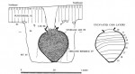 Diagram of pot burial and coin layers
