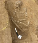 A Roman skeleton buried in a field ditch at Syon Park