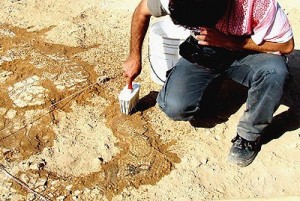 Archaeologist excavates Byzantine mosaic