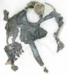 Fossilized head of Tiarajudens eccentricus