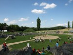 Gladiators today training in the Carnutum amphitheater