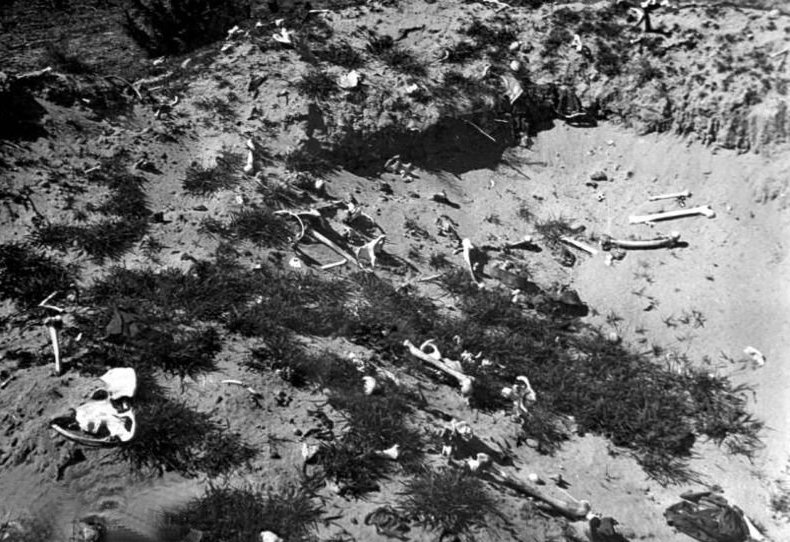 bomb-crater-Treblinka_1945.jpg