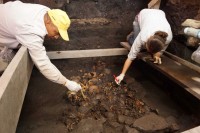Archaeologists excavate pit filled with 45 skulls and 200 mandibles in Mexico City's Templo Mayor