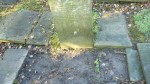 Grave with missing slab and missing paving stones on the sides