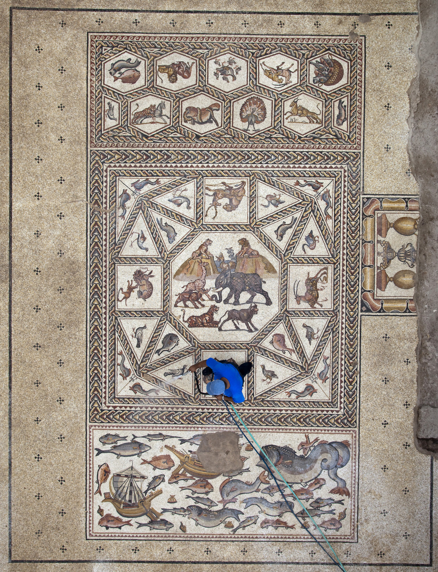 http://www.thehistoryblog.com/wp-content/uploads/2013/02/Lod-mosaic-cleaned-in-situ.jpg