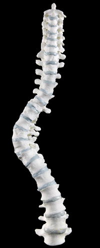 3D printed recreation of Richard III's spine; pictures used to create the animation copyright the University of Leicester