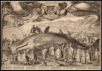 "Beached Sperm Whale at Beverwijk on 19 December 1601" by Jan Saenredam