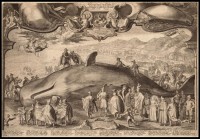 "Beached Sperm Whale at Beverwijk on 19 December 1601" by Jan Saenredam