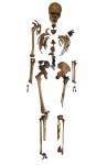 Henry VII's skeleton