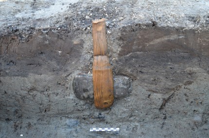 Flint-axe-5500-years-old-430x284.jpg
