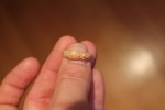 Gold ring worn by one of the women interred in the cemetery. Photo courtesy the Superintendency for the Archaeological Heritage of Rome.