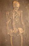 Skeleton unearthed at Jewish cemetery in Trastevere. Photo courtesy the Superintendency for the Archaeological Heritage of Rome.