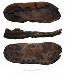 Roman leather shoe found in Catterick. Photo © Northern Archaeological Associates.