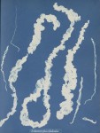 "Enteromorpha intestinalis" in Photographs of British Algae by Anna Atkins, 1843-1853. Purchased with the support of BankGiro Lottery, the W. Cordia Family/Rijksmuseum Fund and the Paul Huf Fund/Rijksmuseum Fund.