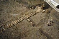 Lines of amphorae recycled as water channels found during San Giovanni construction. Photo courtesy the Cooperativa Archeologica.