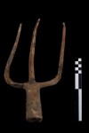 Iron pitchfork from Imperial farm. Photo courtesy the Cooperativa Archeologica.