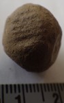 Monmouth musket ball before testing found human blood proteins. Photo courtesy Dan Sivilich/BRAVO.