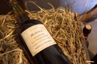 19th c. bottle of Madeira from Liberty Hall wine cellar. Photo by David J. Del Grande, AP.