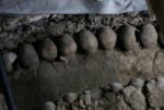 Skulls lined up in situ. Photo by Henry Romero for Reuters.