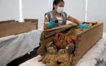 Zelaya examines another of the immigrants' bodies. Photo by Guadalupe Pardo, Reuters.