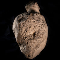 Carved stone after cleaning. hoto courtesy ORCA Archaeology.