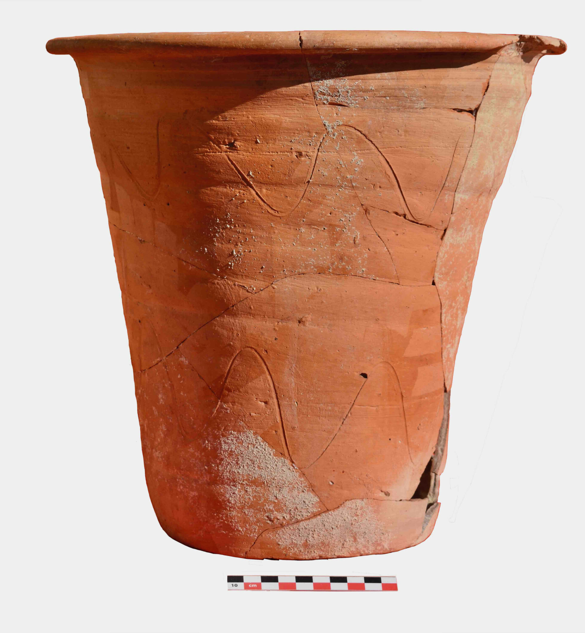 Ancient parasite eggs identify Roman chamber pot