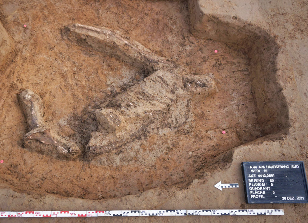 1st c. horse burial found in Germany