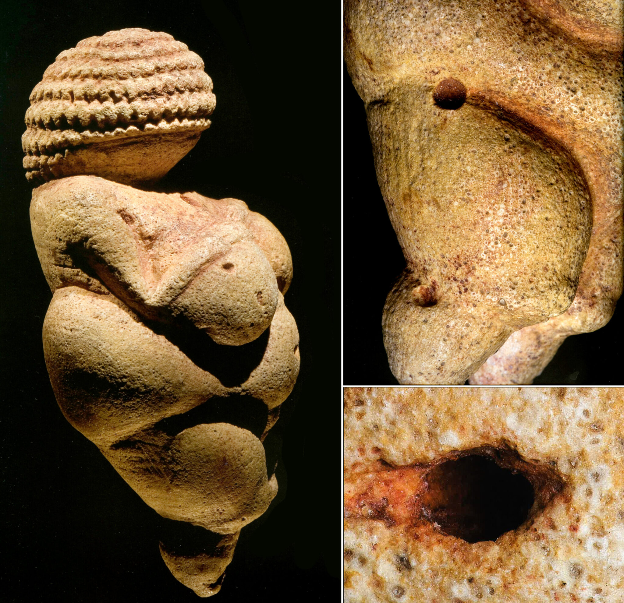 Venus of Willendorf originated in Italy