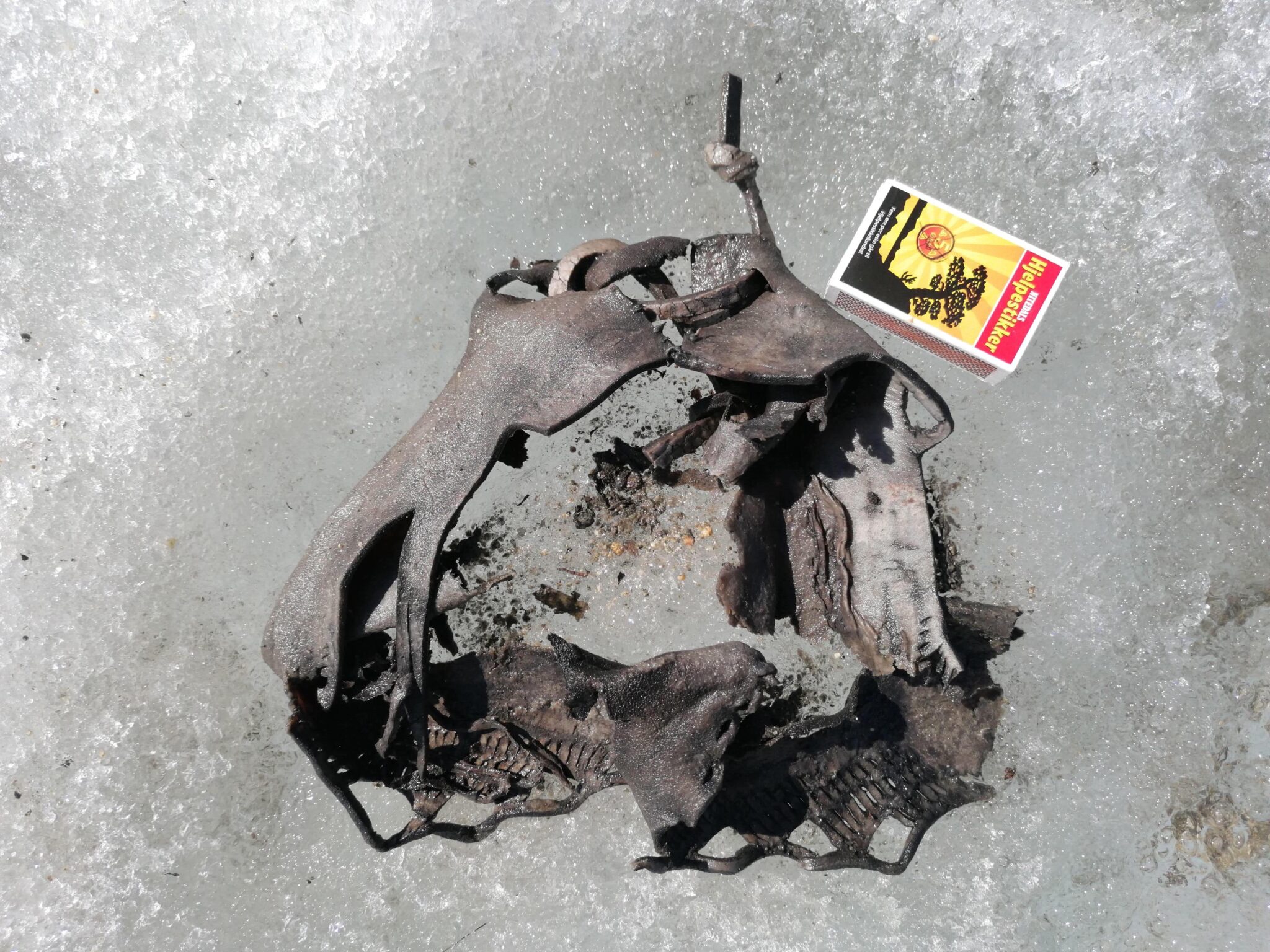 Iron Age sandal found in melting ice patch