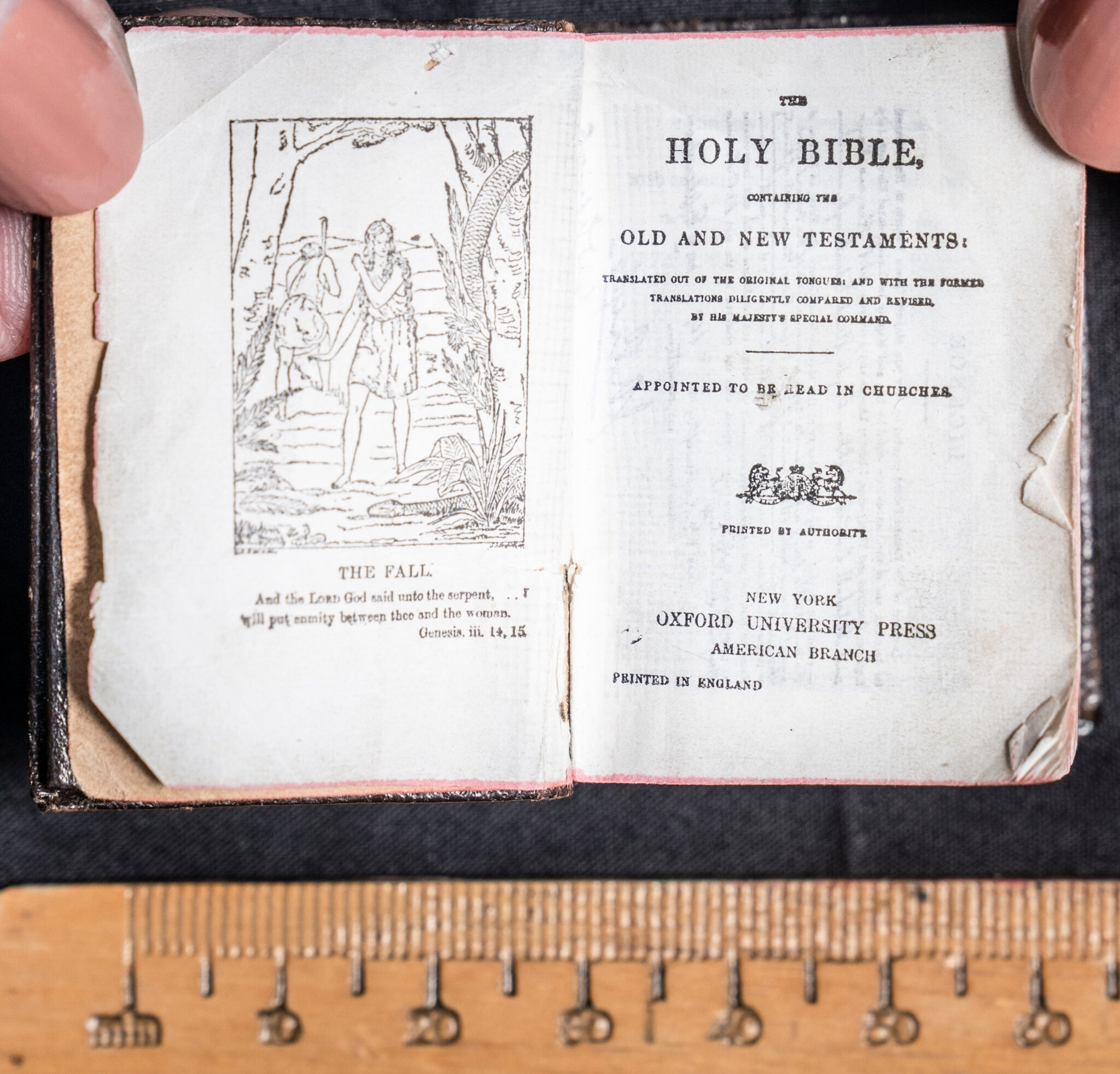 Tiny Bible found in Leeds Central Library