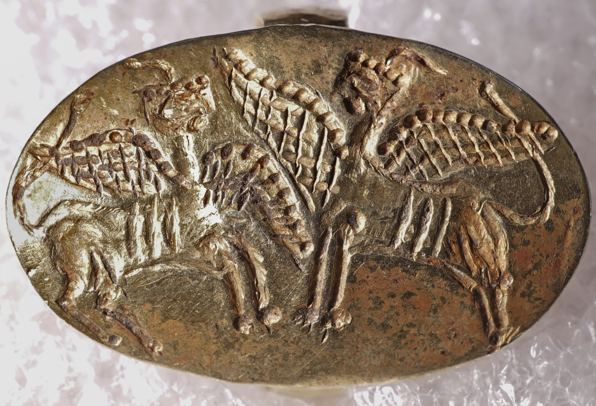 Globetrotting Mycenaean gold ring returns home