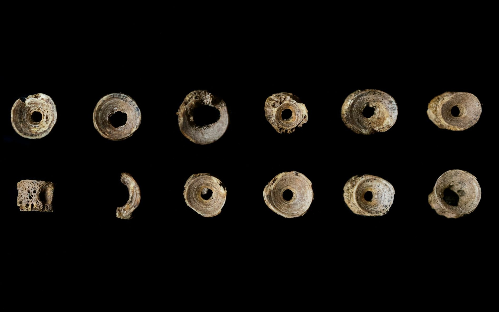 Earliest prayer beads in Britain made of salmon vertebrae