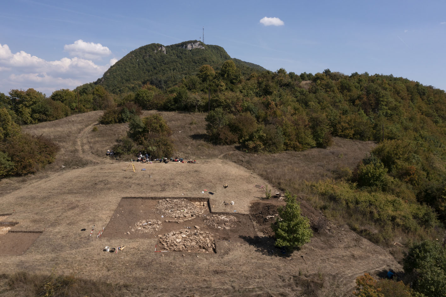 New fibula types found in prehistoric graves in Bosnia