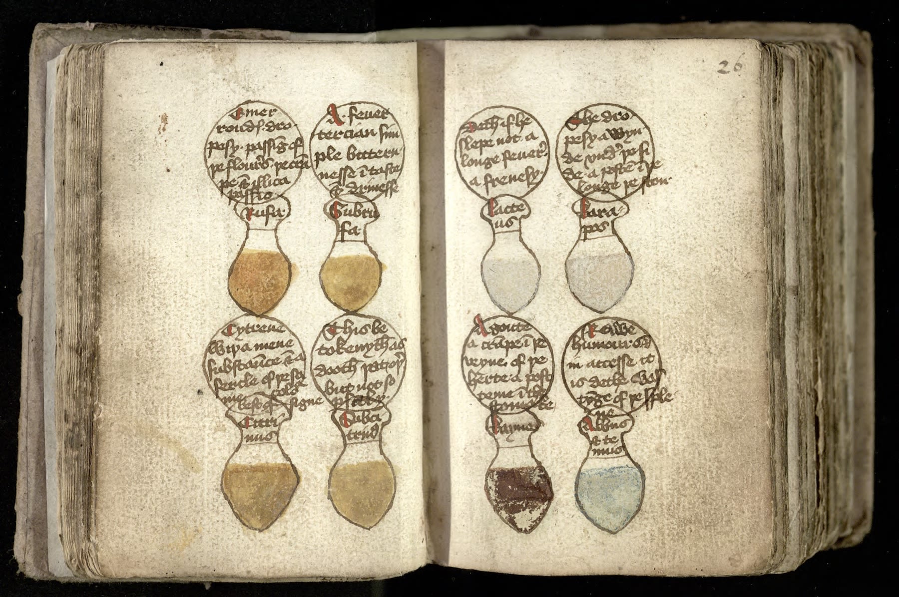 Cambridge medieval medical texts digitized