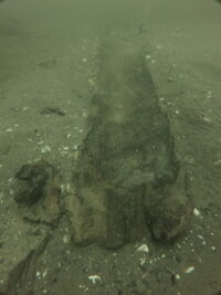 3,000-year-old dugout canoe on the bed of Lake Mendota. Photo courtesy Wisconsin Historical Society.