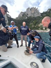 Obsidian from Neolithic shipwreck recovered off Capri