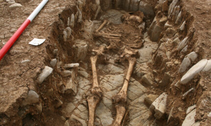 Detail of burial in a stone-lined grave. Photo courtesy Cardiff University.