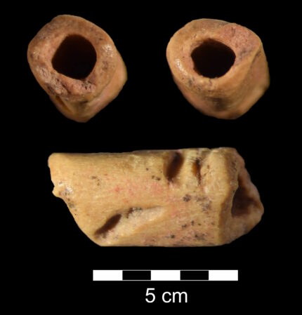 Oldest bead in the Americas found in Wyoming
