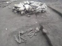 A short distance south of burial 5396 stands burial 5201, built with peperite slabs laid flat and slightly corbelled. Photo courtesy INRAP.