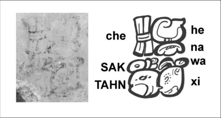 Attribution of mathematician ‘White-chested Fox’, using the phrase che-he-na followed by name spelled SAK-TAHN-wa-xi (multispectral photograph by G. Ware; drawing by D. Stuart).