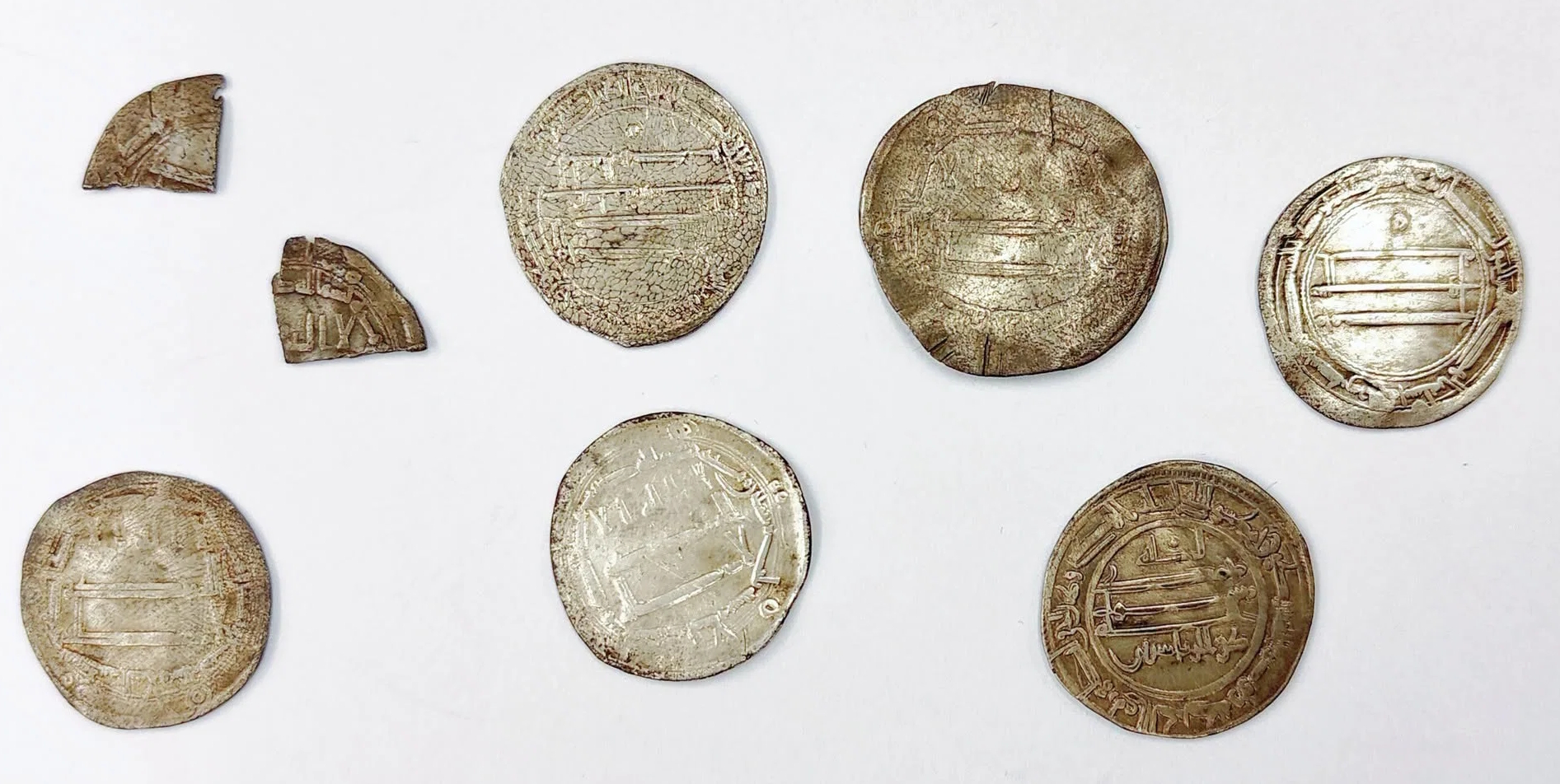 Arabic dirhams and fragments found in forest near Elblag. Photo courtesy Elbląg’s Archaeological and Historical Museum.