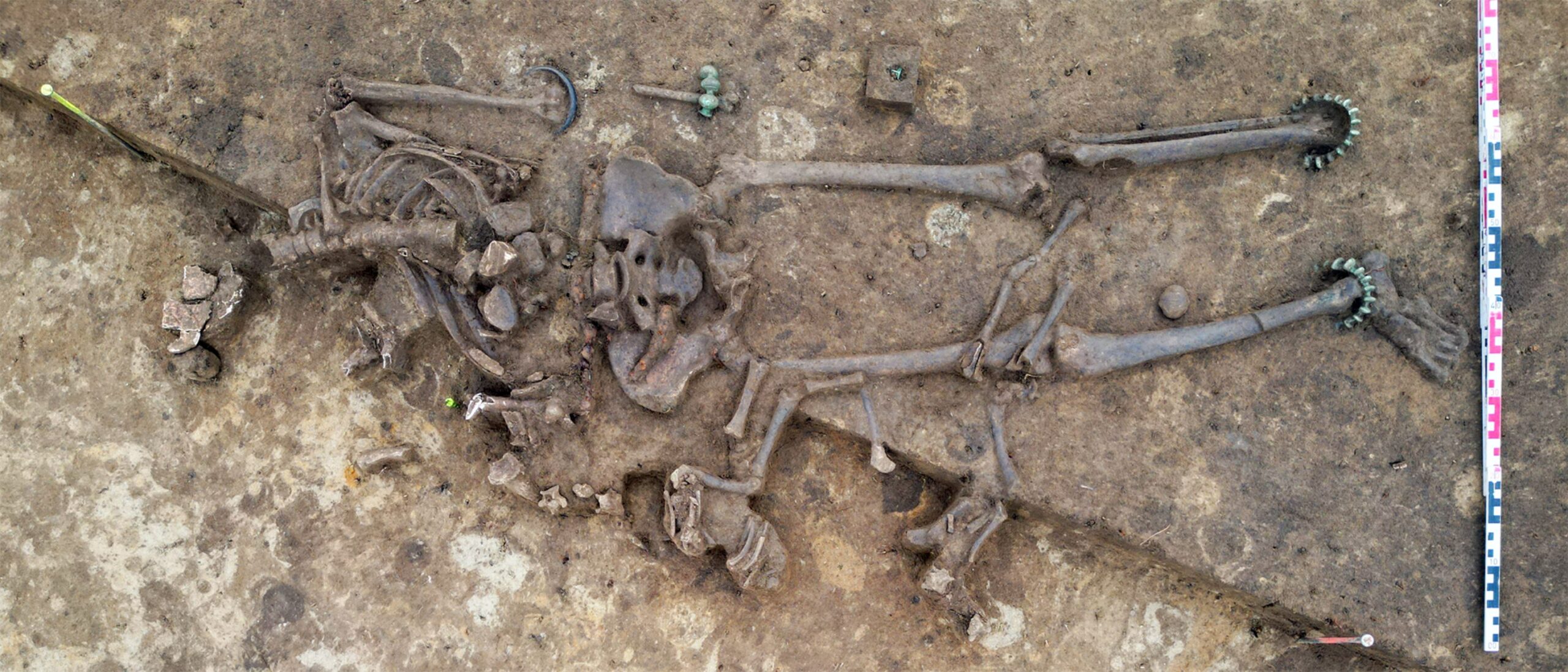 Celtic skeleton scaled