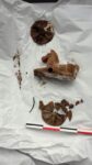 Clay toys from sarcophagus
