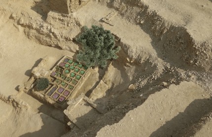 First-ever funerary garden found in Luxor – The History Blog