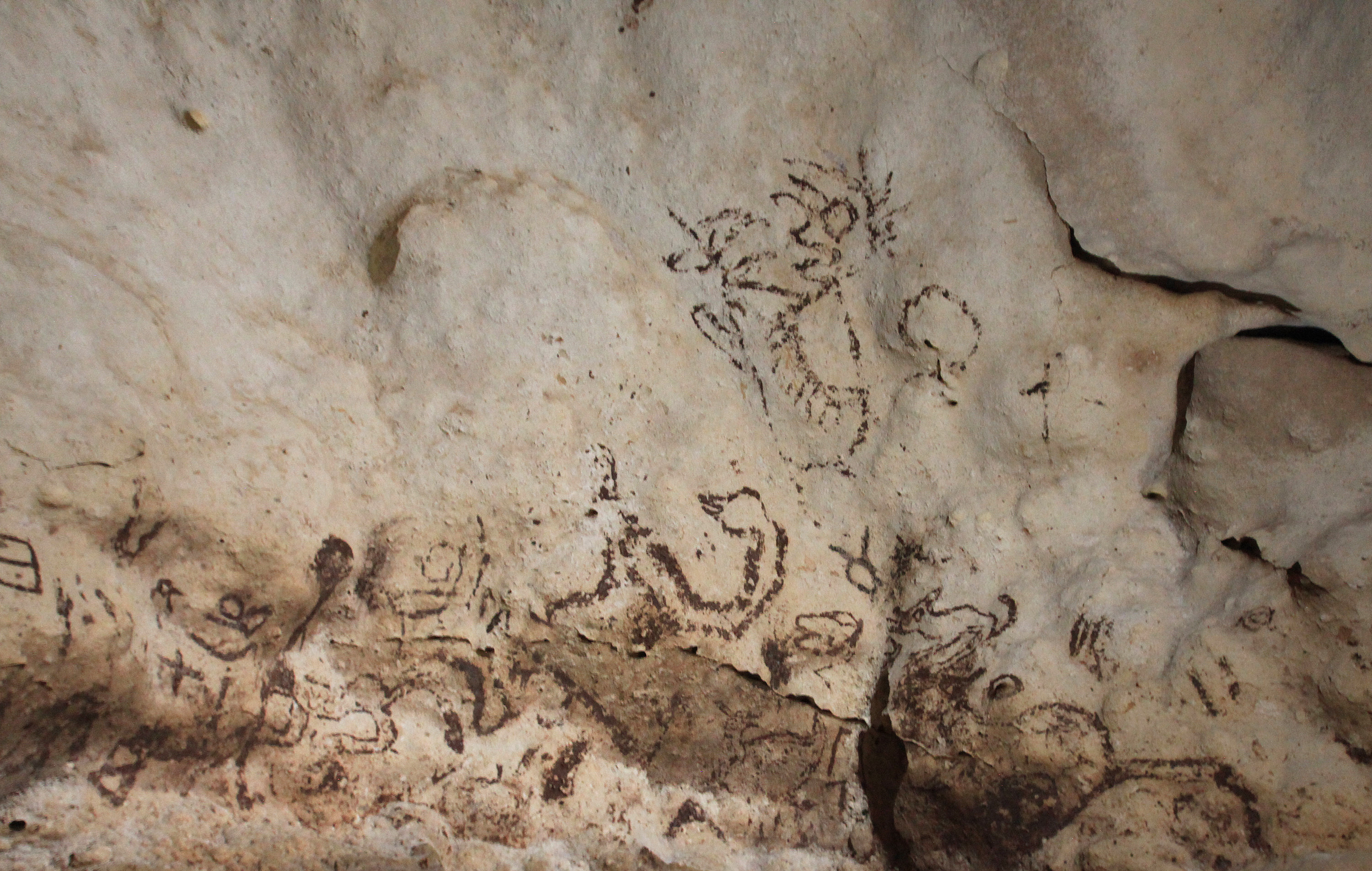 Mayan Cave Paintings