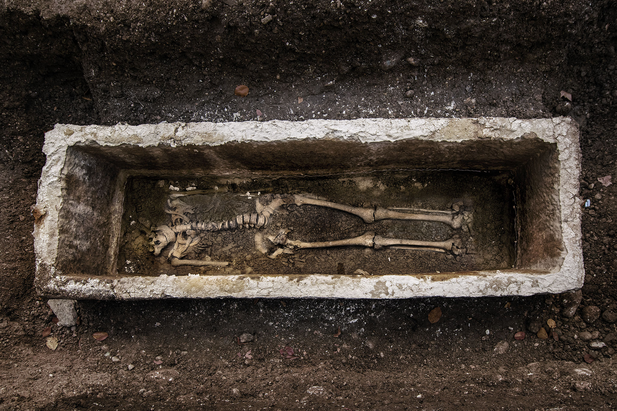  An Ancient Roman stone sarcophagus containing the skeletal remains of a man and a horse.